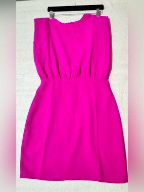 TCEC Hot Pink Sleeveless Mini Dress Size Small Bright Barbiecore Wedding guest